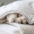 Snuggle Silhouettes Quilted Blanket NCU0DK403