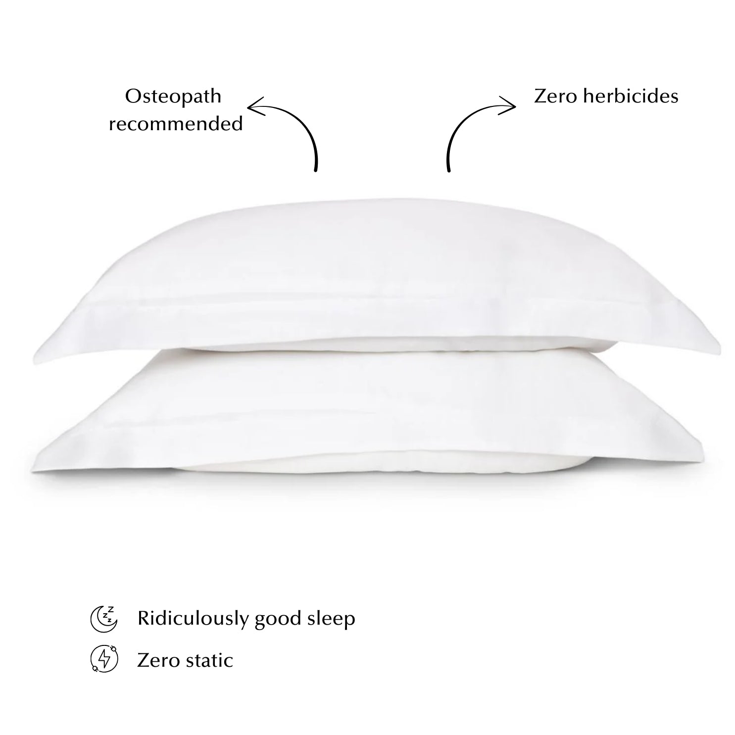 Sleepyhead Silk Pillow Set in White (Top Seller) 2 Sleepyhead Silk Pillow Set in White (Top Seller)